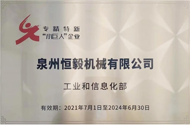 國家專精特新“小巨人”企業(yè)